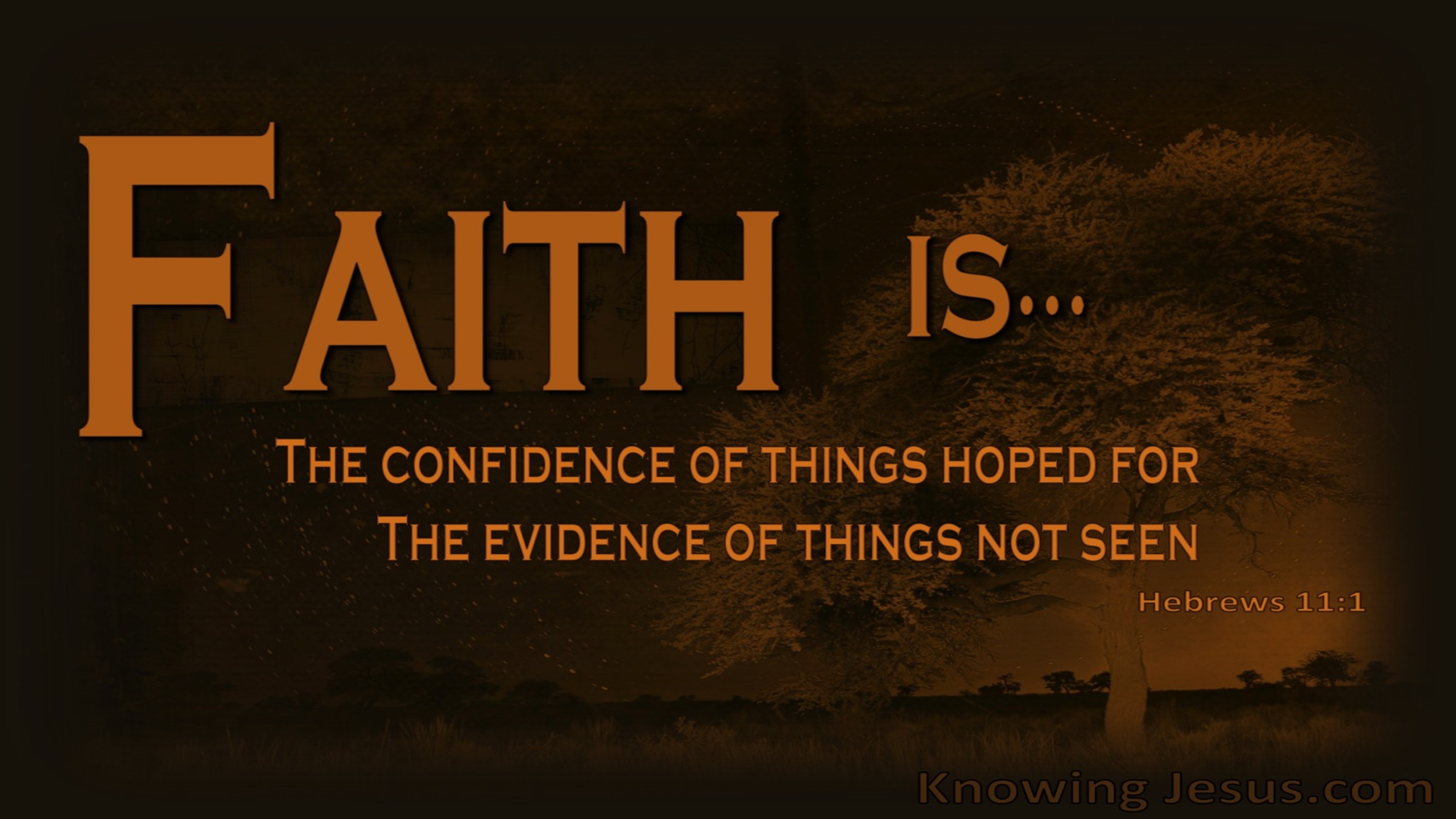 Hebrews 11:1 Faith Is.. (devotional)06:11 (brown)